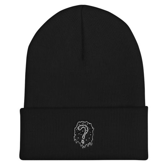 Unknown Views Logo Beanies